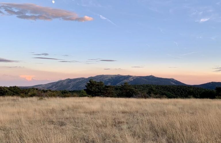 Bruselas presenta una guía para unificar la designación de áreas naturales protegidas