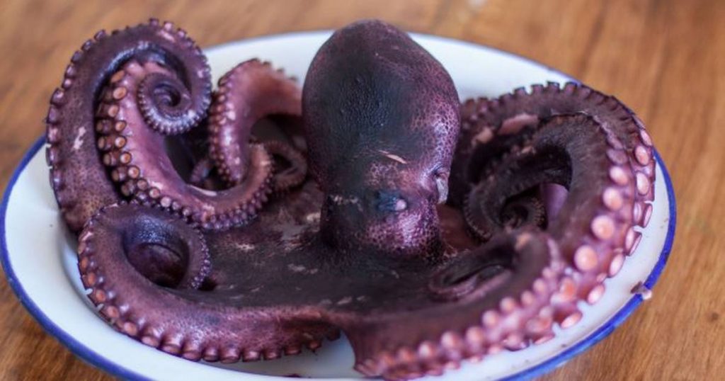 Añade el pulpo a tu receta