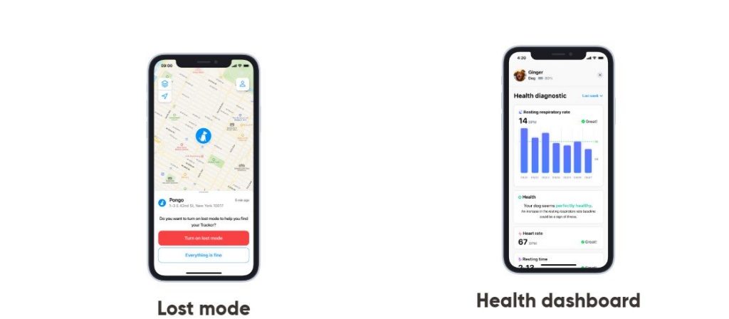 Collar inteligente Invoxia: precio y disponibilidad
