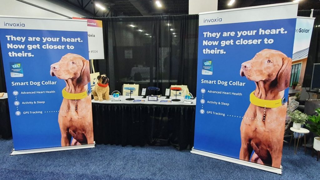 Medir las funciones vitales de los perros