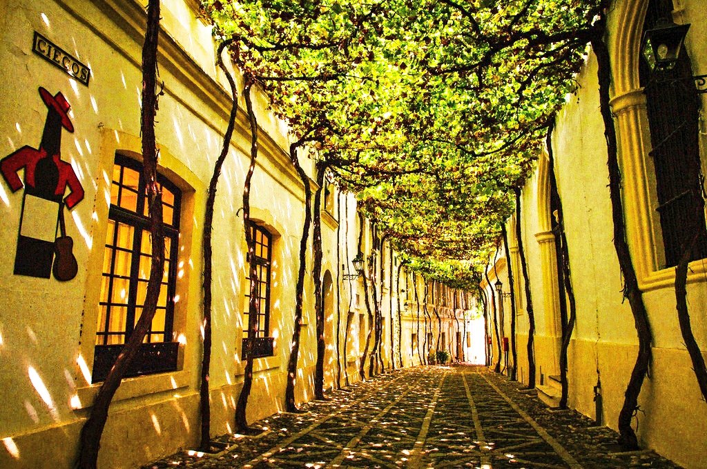 Estas son las calles más bonitas de España