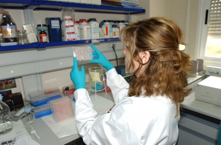 Detectado el virus de Influenza Aviar de Alta Patogenicidad H5N1 en aves de Soses