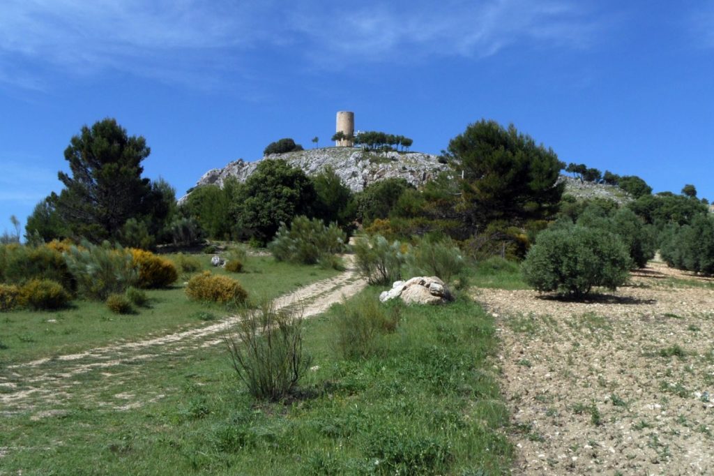 Los restaurantes con una estrella Michelin más baratos para comer