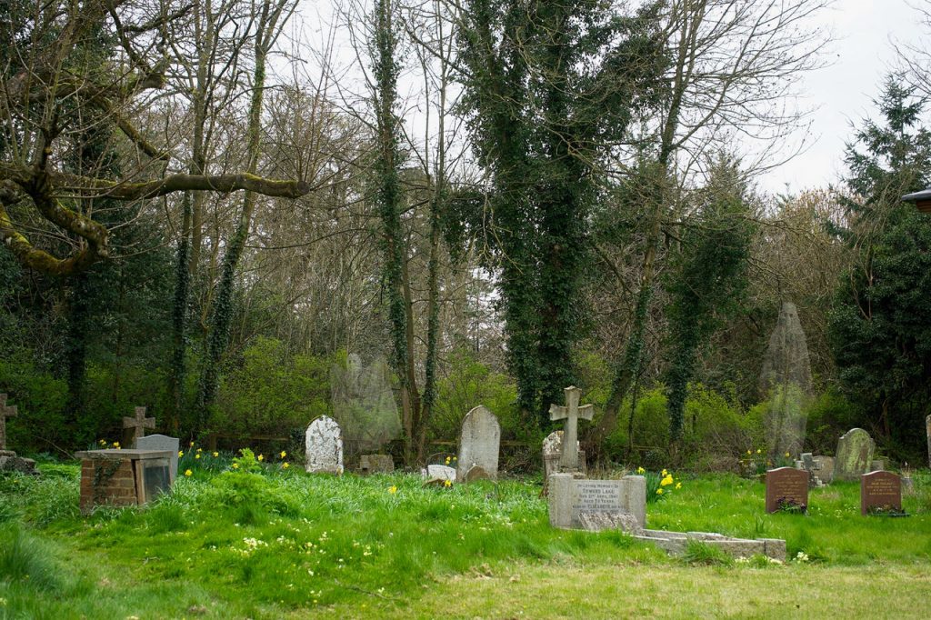 El don de escuchar más allá 