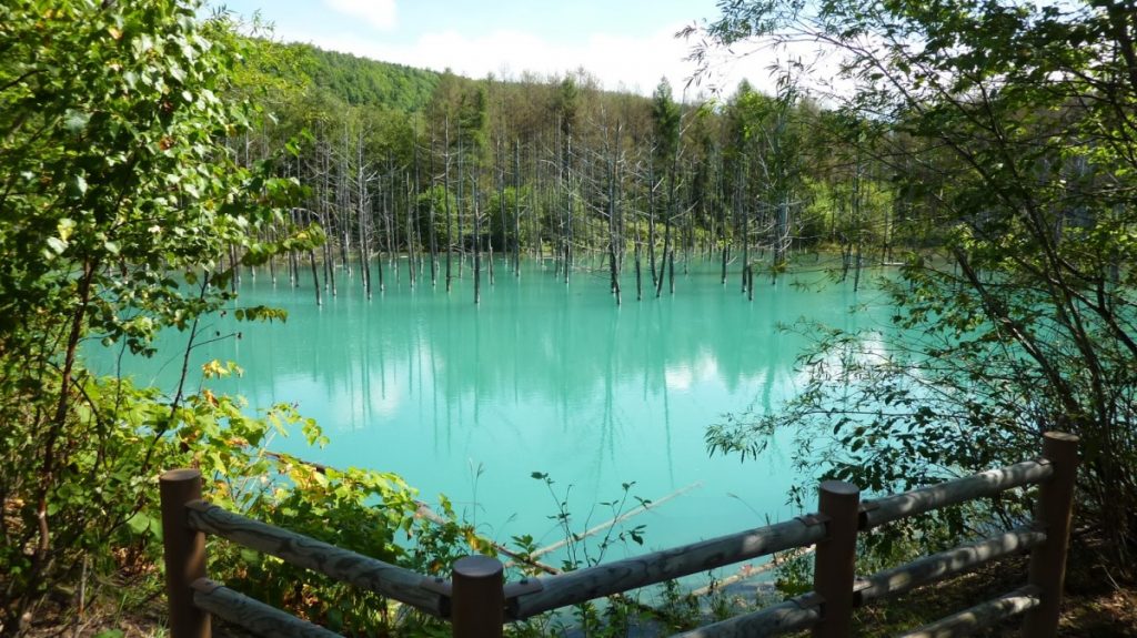 El estanque azul de Hokkaido