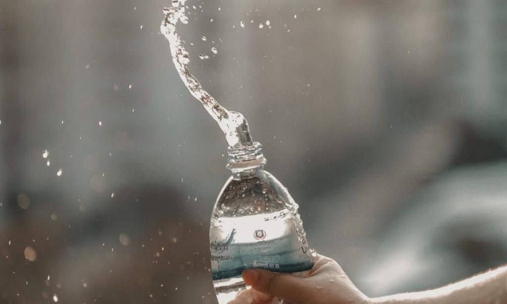 Cómo deshacerte de las avispas con una cerveza 