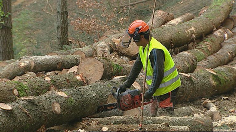 El trabajador fallecido en Lagrán recibió un golpe fuerte en la cabeza por un objeto