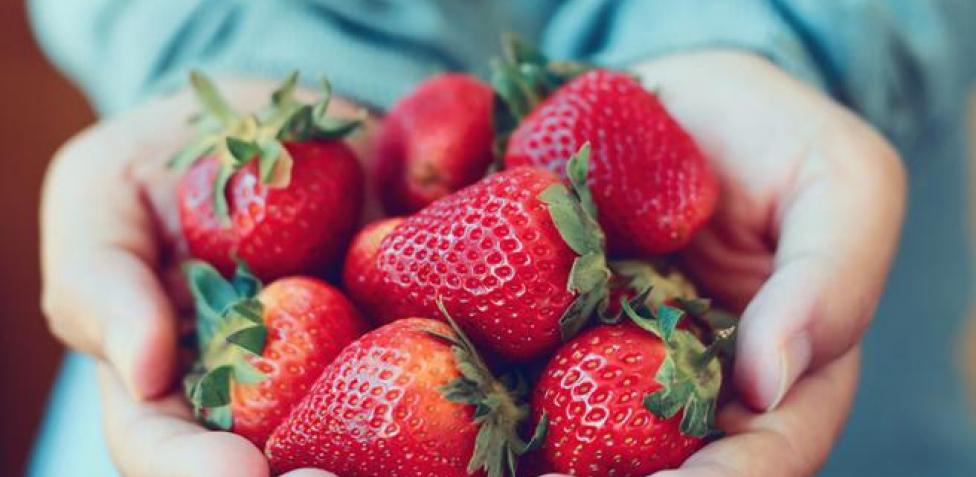 ¿Es saludable cenar solo un yogur o una fruta?