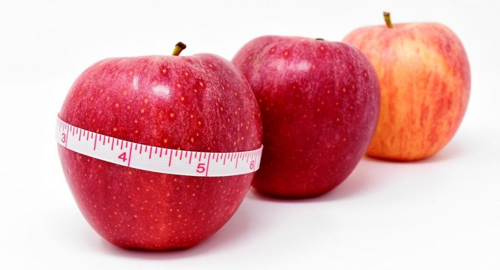 Comida en cantidades normales, la fruta no engorda