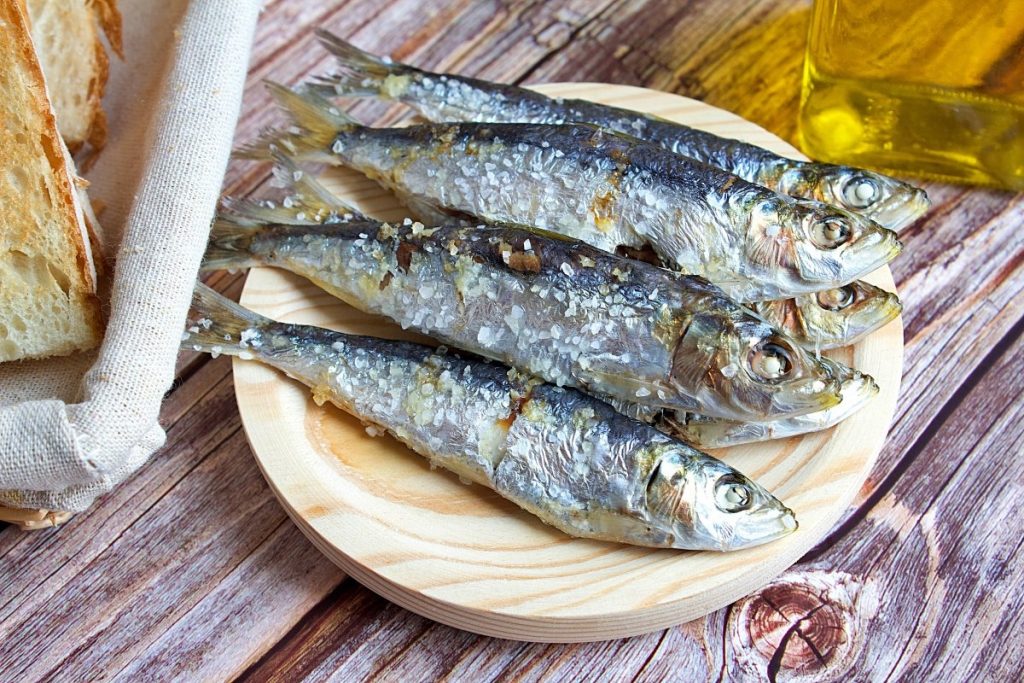 Hornea las sardinas en sirve