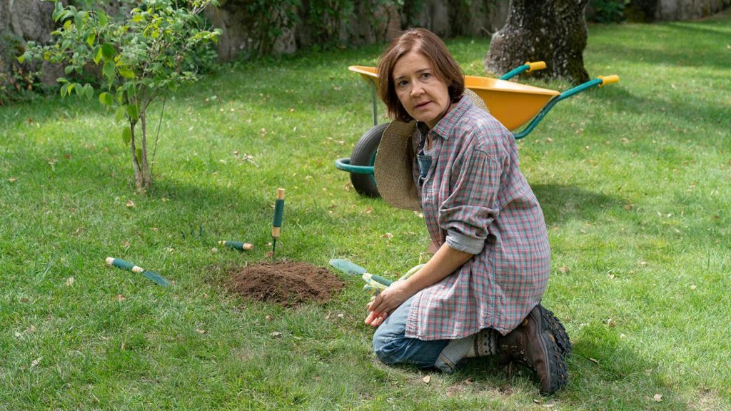 ‘Los misterios de Laura’: ¿Cómo han cambiado los gemelos?