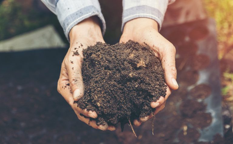 La startup española GeoCENmap impulsa una tecnología para prevenir la contaminación del subsuelo