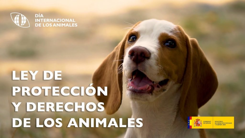 Ley de proteccion animales