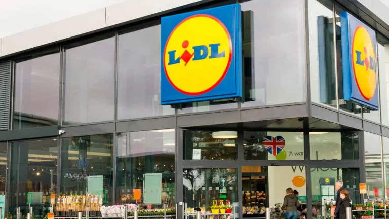 La planta de Lidl que eliminará definitivamente los mosquitos de tu casa