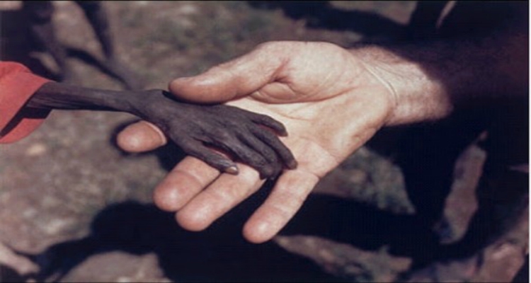 Las fotos más controvertidas de la historia de la humanidad