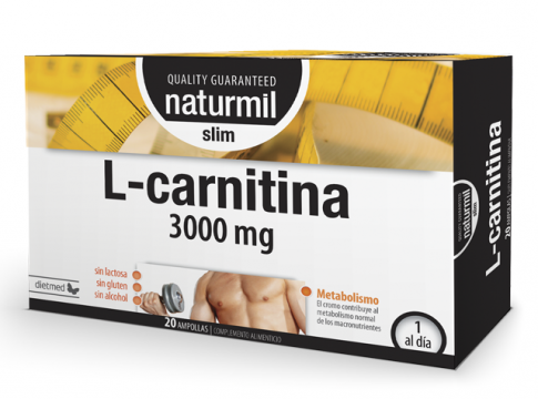 Qué es la L - Carnitina 1 Qué es la L - Carnitina