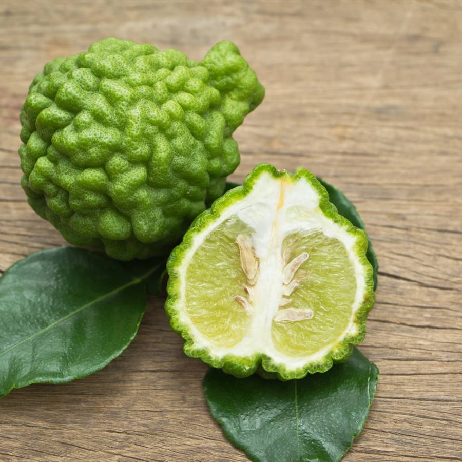 Increíbles beneficios del aceite esencial de bergamota