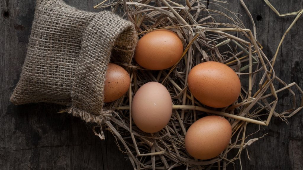 Razones para desayunar huevos