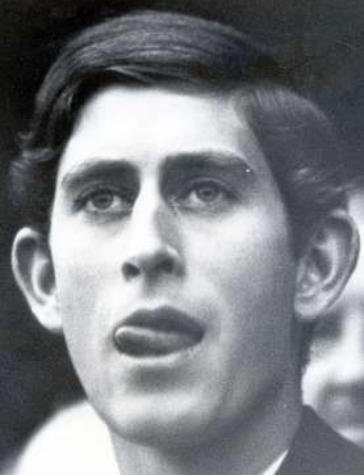 10 fotos de la familia real sacando la lengua