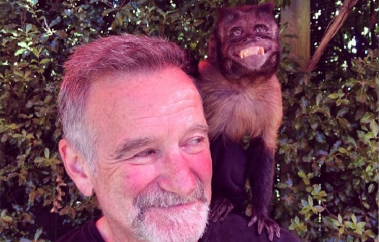 10 fotos de famosos el día anterior a morir