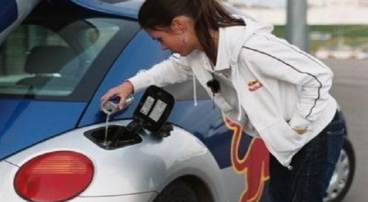 Fotos que demuestran que te comportaste como un idiota