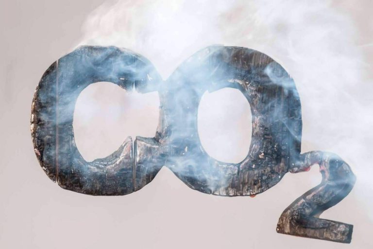 El token Green y sus utilidades