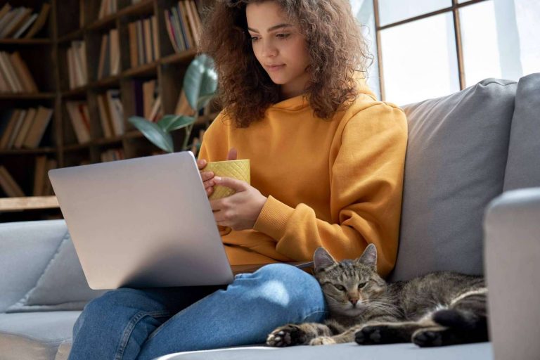 Goinfopro, la plataforma internacional multilingüe para empresas de todo el mundo