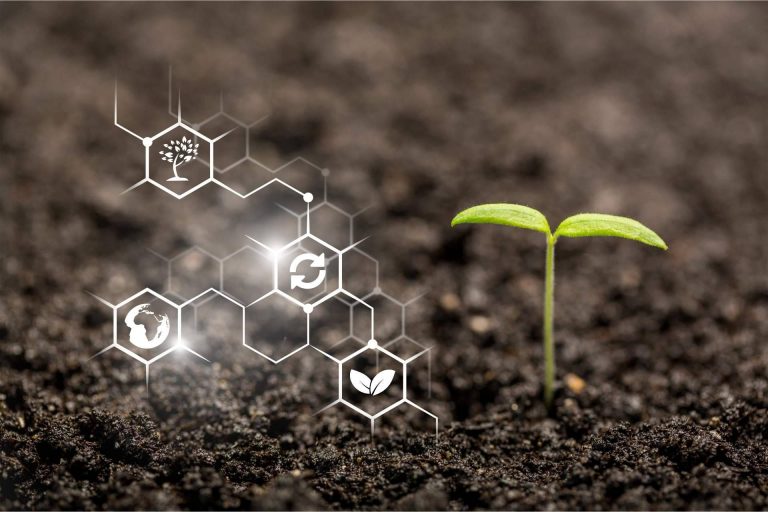 Agricultura inteligente gracias a la internet de las cosas