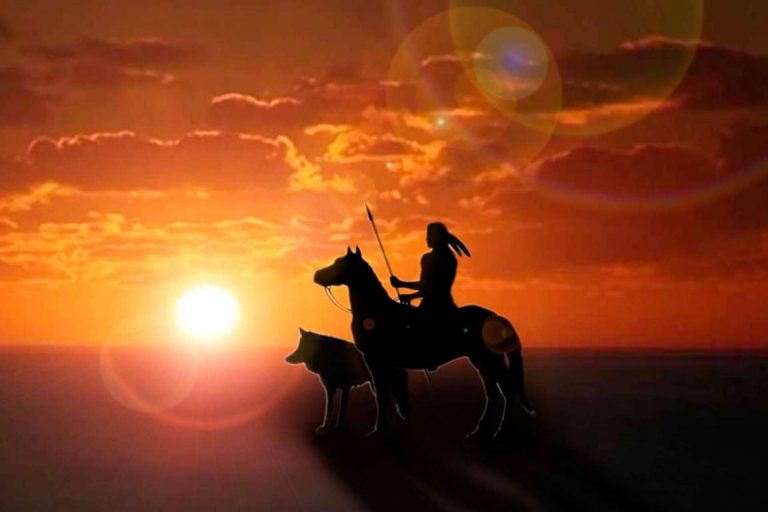 Una historia de piensos naturales para perros