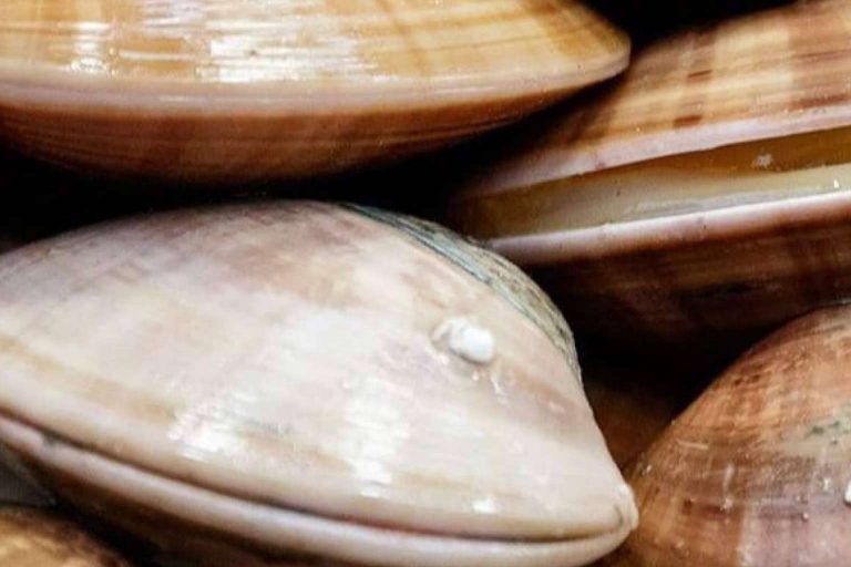 Adquirir pescados, mariscos, moluscos y vinos