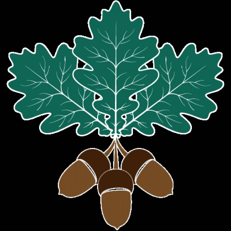 Implantación de un sistema informático con DUIR