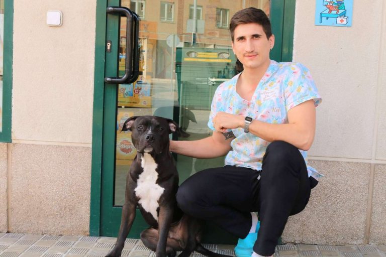 Elegir una buena clínica veterinaria es fundamental para el bienestar de la mascota, por Centro Veterinario Zalavet