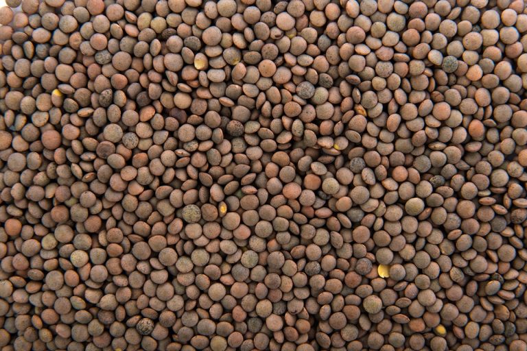 Este es el motivo por el que las lentejas hacen espuma