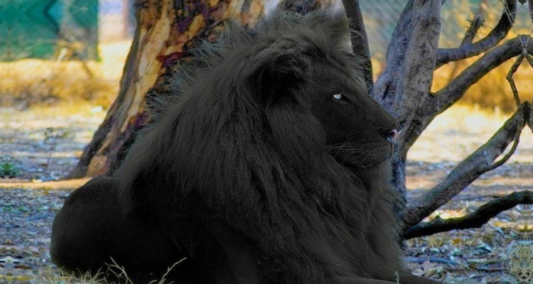 10 fotos famosas que creías verdaderas y no lo son