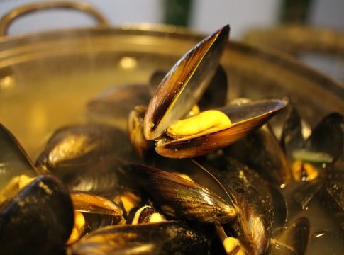 Mejillones en escabeche: así se hacen en casa mejor que los de lata cocción