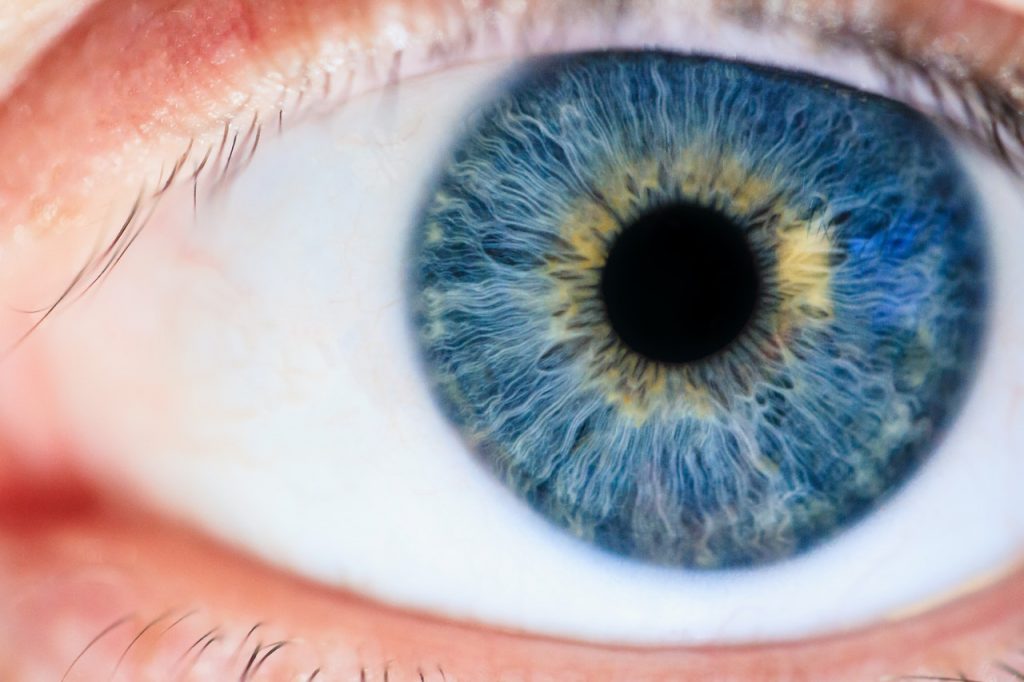 El truco para saber el color de ojos que tendrán tus hijos 