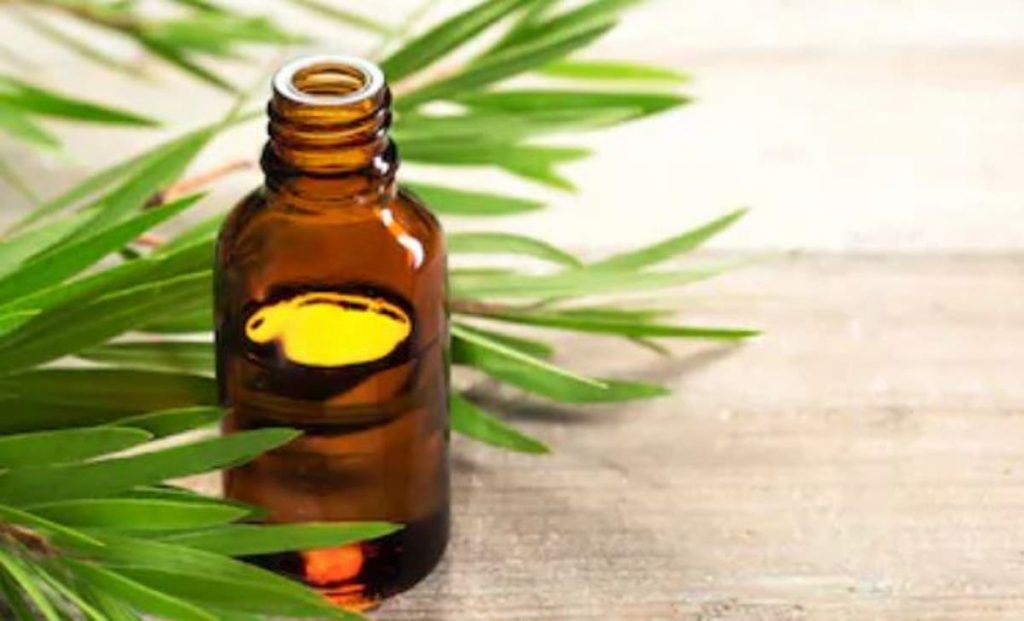 Aceite del árbol de té