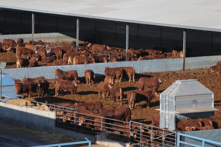 665.000 agricultores y ganaderos pueden pedir las ayudas directas de la PAC para 2022 desde hoy