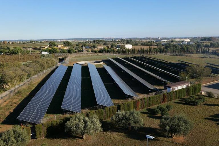 Nestlé España activa su primer parque fotovoltaico en su fábrica de Reus