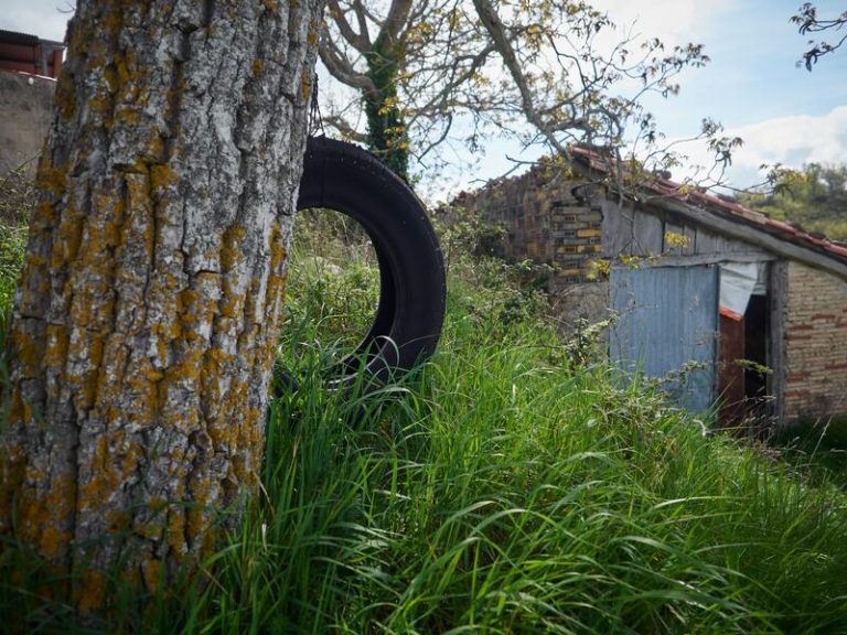 El PSOE saca adelante en el Senado una iniciativa para extender el Erasmus rural a los estudiantes de FP