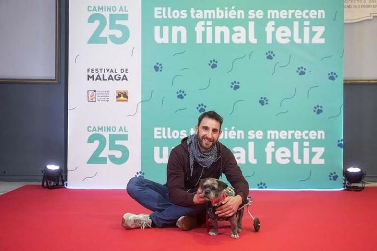 Festival de Málaga fomenta la adopción de perros y gatos en una campaña con Protectora y Fundación Ochotumbao