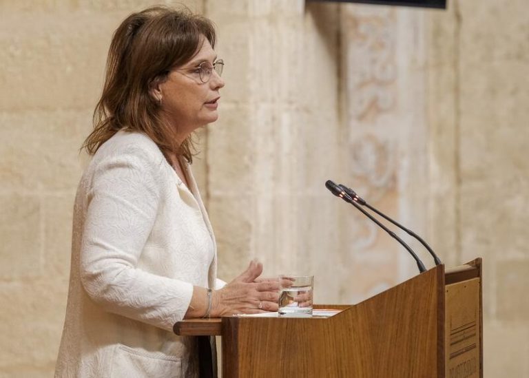 El Parlamento andaluz pide al Gobierno que destine a bonificaciones a familias los fondos para Infantil de 0 a 3 años