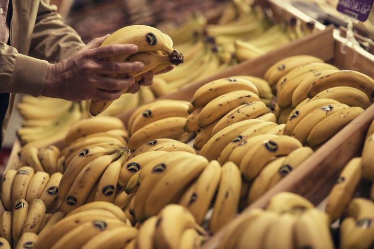 Plátano de Canarias cierra 2021 con más de 409 millones de kilos en ventas y facturación de 396 millones