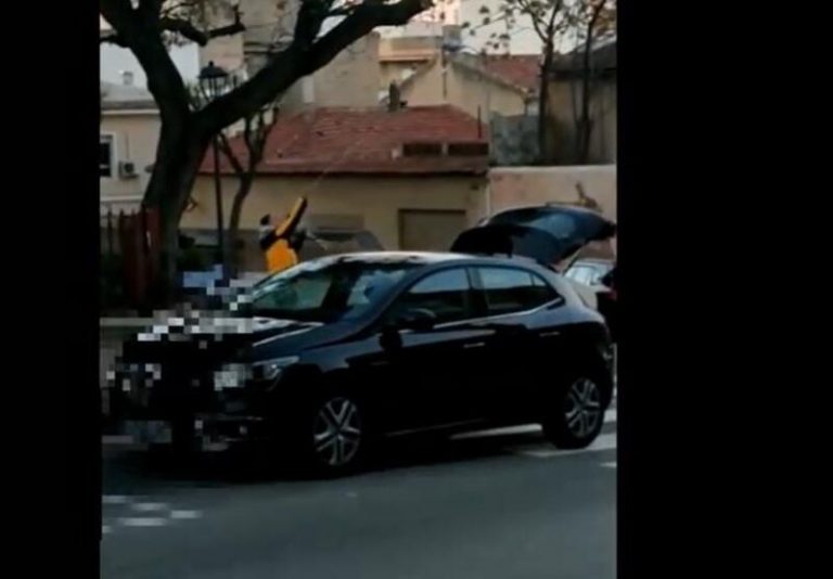 La Policía busca en Alicante a un hombre que aparece en un vídeo lanzando una paloma al aire atada a una cuerda