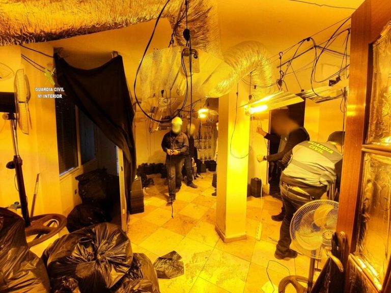 Desmantelada una plantación de marihuana junto a un colegio de Mairena con tres detenidos