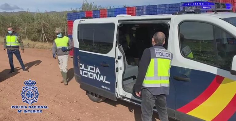 La Policía Nacional detiene a 15 hombres durante una inspección a una finca agrícola de Águilas