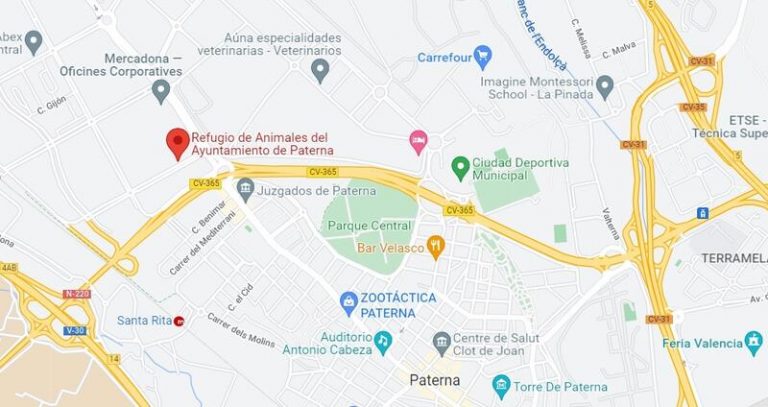 Paterna cifra en 3 los animales del refugio muertos y estudia denunciar por amenazas a voluntarios