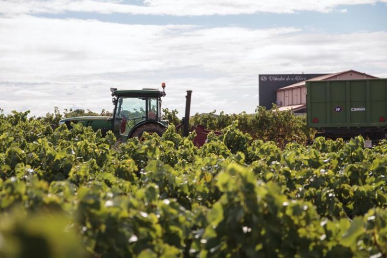 La interprofesional del vino se alía con KPMG para desarrollar el plan estratégico del sector