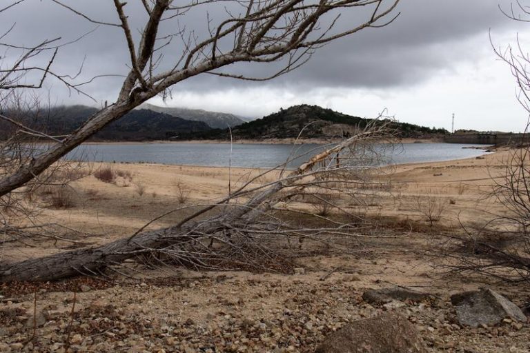 Agricultura convoca la Mesa de la Sequía para el 4 de marzo
