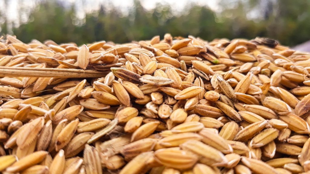 Boza: cómo preparar la bebida turca que sale en Tierra Amarga 111 ingredientes